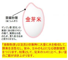 タニタ食堂の金芽米