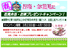 花見弁当・お茶プレゼントキャンペーン!